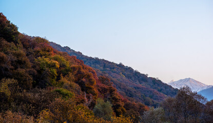 The beautiful autumn landscape. Xianweng mountains landscape.Yichun city, Heilongjiang province, China.