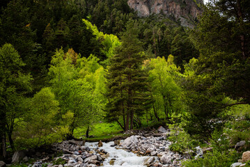 Fototapeta na wymiar Mountain river water flowing through rocks in green forest. Colorful landscape with mountains, beautiful small river, green forest, blue sky with clouds in summer. Mountain valley journey.