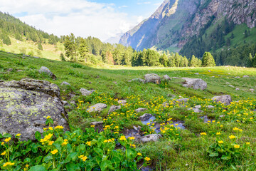 Scenic landscape view Tunda bhuj during Pin Parvati  trek in parvati valley , Himachal Pradesh, India. © Sumit