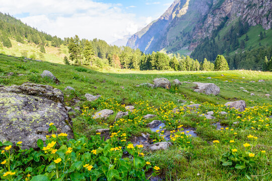 Scenic landscape view Tunda bhuj during Pin Parvati  trek in parvati valley , Himachal Pradesh, India.