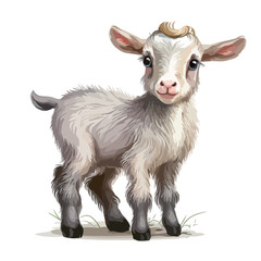 Little goat. A lovable small and cute household pet.