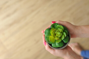 mulher linda de casa cuidando das plantas com amor 