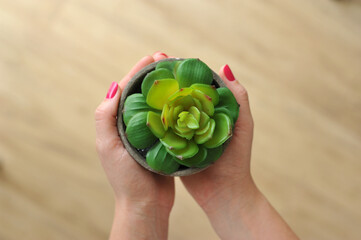 mulher linda de casa cuidando das plantas com amor 