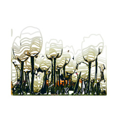 Color sketch of a tulip flower with transparent background