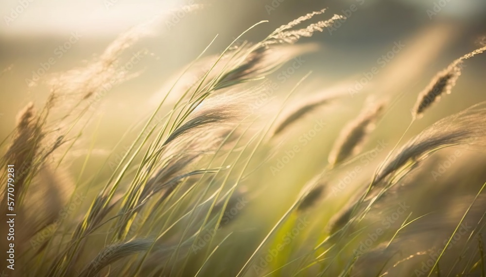 Aufkleber a close up of some grass with the sun shining in the backgroung of it's leaves and backgroung of the