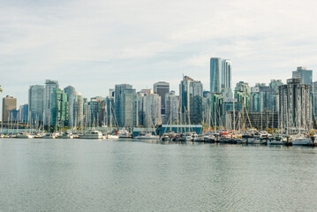 view of Vancouver skyline and Burrard Inlet from Stanley Park in autumn, Vancouver, British Columbia - sep 2019