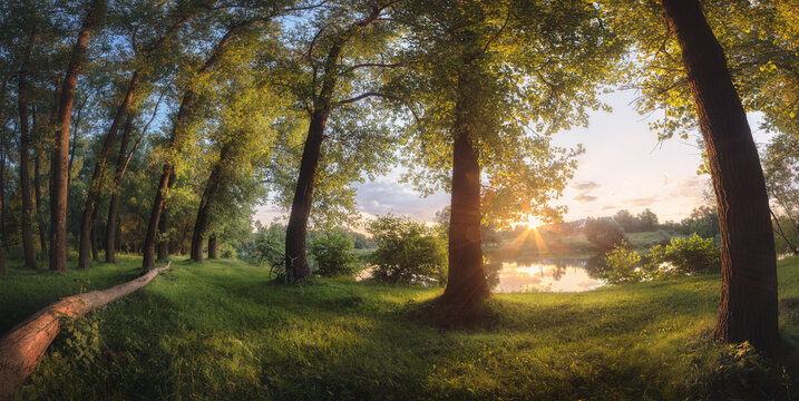 Beautiful ultra-wide panoramic landscape with trees on the banks of the river and a bicycle. Summer spring meadow with lush green grass and bright sunbeams. Artistic image of the purity and freshness 