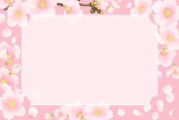 単色背景と春の花フレーム（ソメイヨシノ）