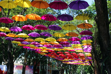 Umbrella in Holambra
