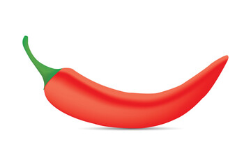 Red hot chili pepper vector