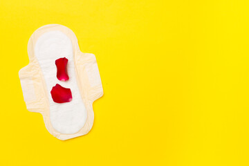Menstrual pad with red petals on color background, top view