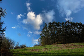 Obraz premium Basque Country Scenery 0111.jpg