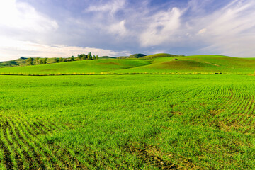 Fototapeta na wymiar landscape with green grass , country field and beautiful hills and blue sky with clouds