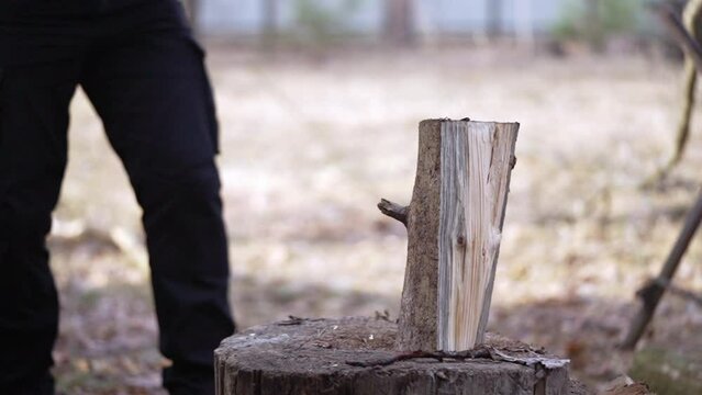 Breaking a part of a log into pieces. Slow motion video