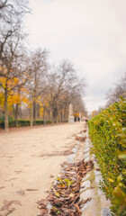 Naklejka premium City park in autumn