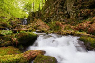 waterfall on the stream among boulders. nature scenery in carpathian woods