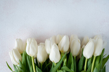white tulips on a light background. Place for text