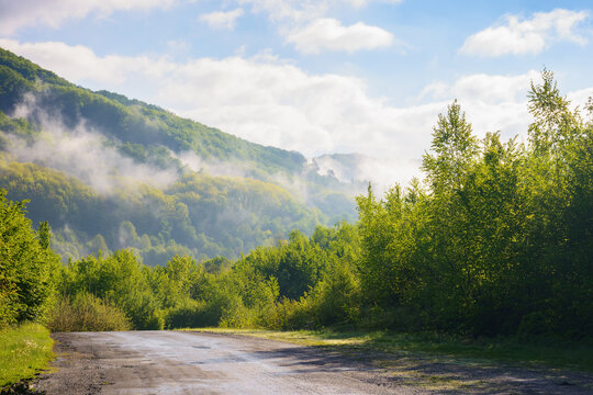 road winds through the foggy countryside, revealing a breathtaking landscape of green hills and misty mountains. the soft light of morning illuminates the scenery
