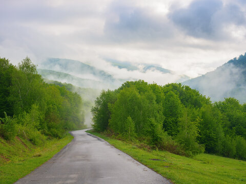 foggy sunrise illuminates the road among trees, providing a picturesque view of the tranquil countryside. the scenic route offers a sunny view of the rolling landscape