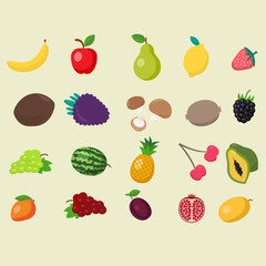 set of fruits. vector illustration of fruits. fruit illustration collection.