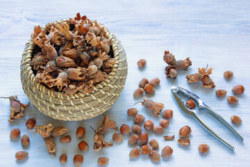 Hazelnuts in husk in old basket on rustic table. Copy space
