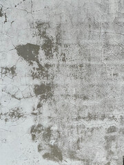 wall