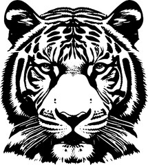 Tiger, vector.