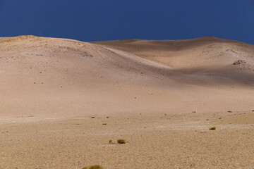 The spectacular colors of the Puna Argentina