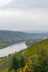 Fototapeta na wymiar Landscape view over the river Moselle