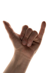 hand gesture. The language of the deaf. Talk with gestures