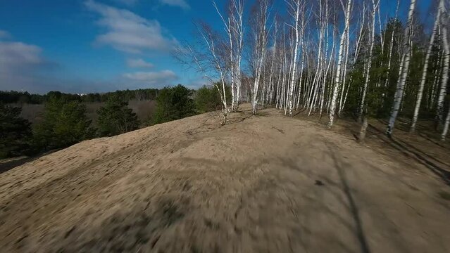 FPV Birch forest 