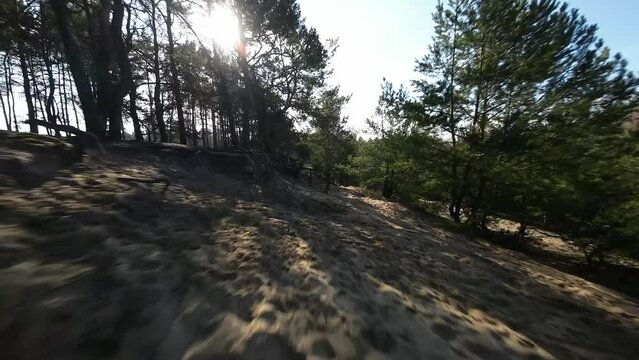 FPV Tree gaps in forest