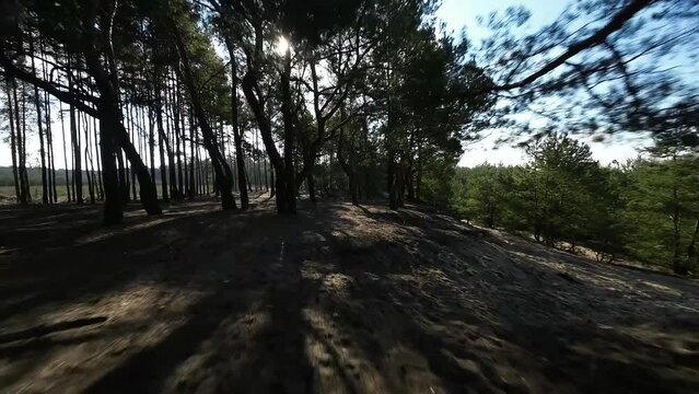 FPV Tree gaps in forest