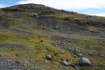 Rocks covered with moss in Iceland