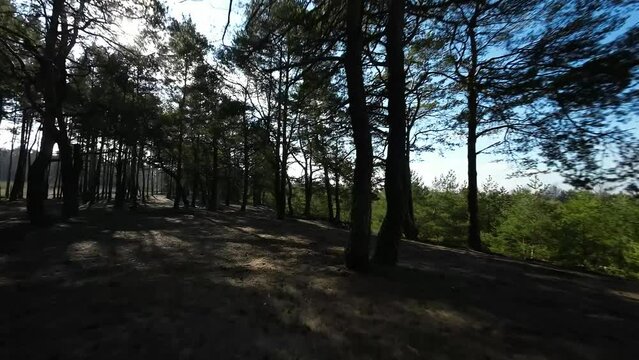 FPV Tree gaps in forest