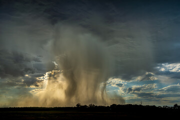 Fototapeta premium A summer down pour 