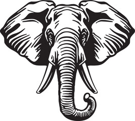 Fototapeta na wymiar Elephant head Vector illustration, on a white background, SVG