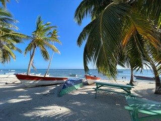 bateaux cocotiers et plage de république dominicaine