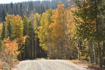 autumn in the rocky mountains