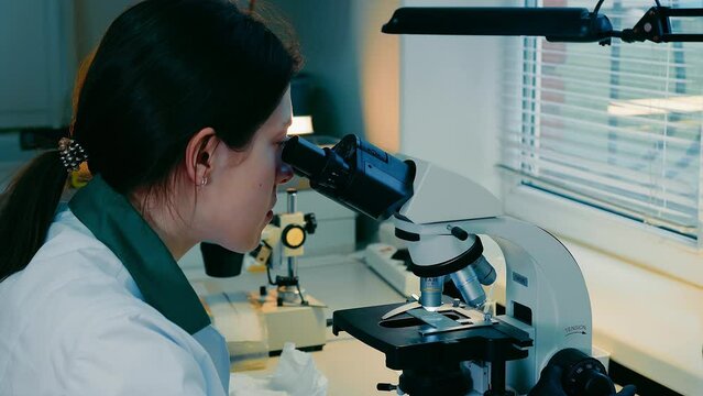 Female microbiologist looking for bacteria under a microscope. A researcher examines a variety of bacteria in the soil using a microscope.