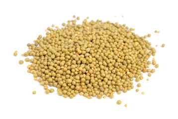 Osmocote fertilizer granules isolated on white background