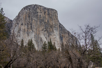 Fototapeta na wymiar Yosemite Fall Style