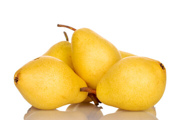 Several organic yellow pears, close-up, isolated on white.