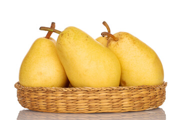 Several organic yellow pears in a straw plate, close-up, isolated on white.