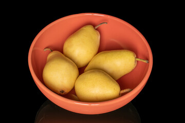 Four fresh organic pears on a ceramic plate, close-up, isolated on black.