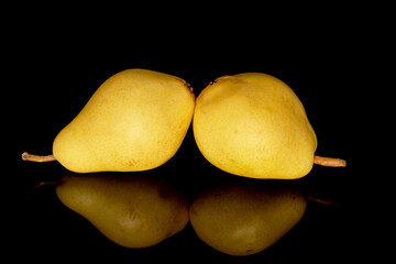 Two ripe yellow pears, close-up, isolated on black.
