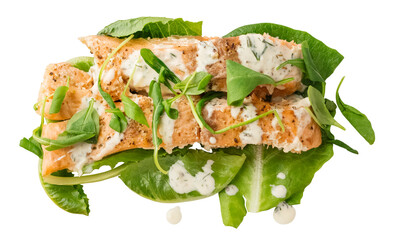 Fish fillet with white sauce and lettuce. Isolated object on a transparent background. Top view. Element for design