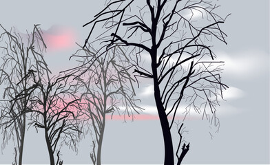 Trees on the sunset background 