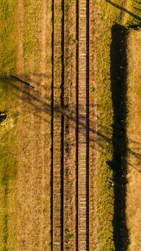 autumn in the railway 