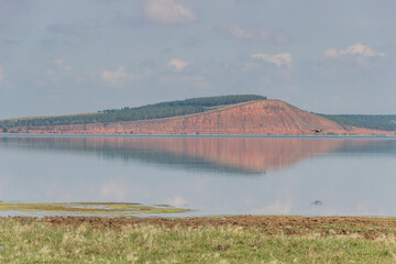 lake with a red hill with forest in the background.gray heron flies and is reflected in the lake